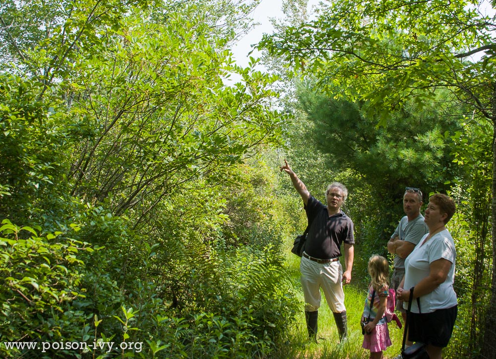 pointing at poison sumac