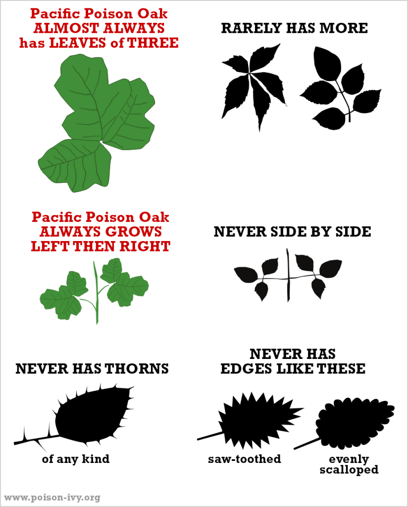 Pacific poison oak always-never chart