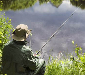 fishing-in-weeds