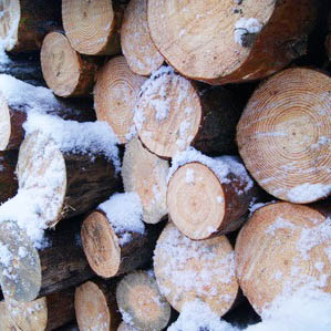winter-firewood