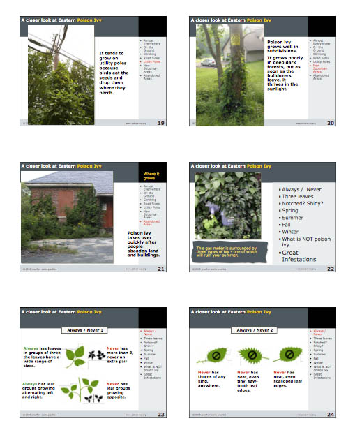 Powerpoint Download 3 poison ivy PDF