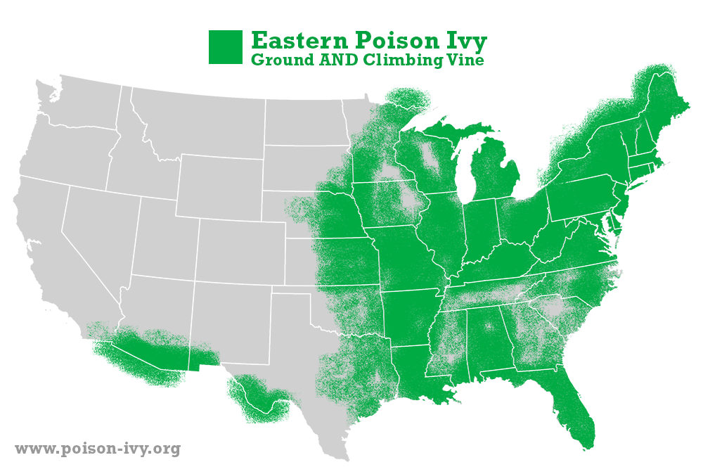 eastern poison ivy map