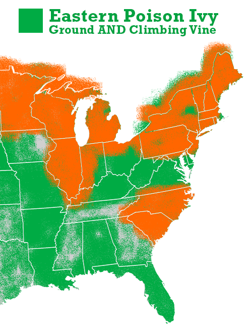 western and eastern poison ivy map right 1