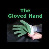 The Gloved Hand