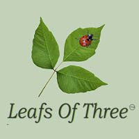 Leafs of Three