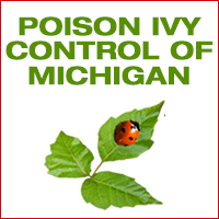 poison ivy control Michigan