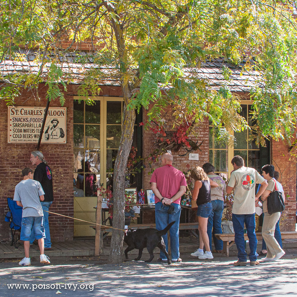 poison oak show visitors