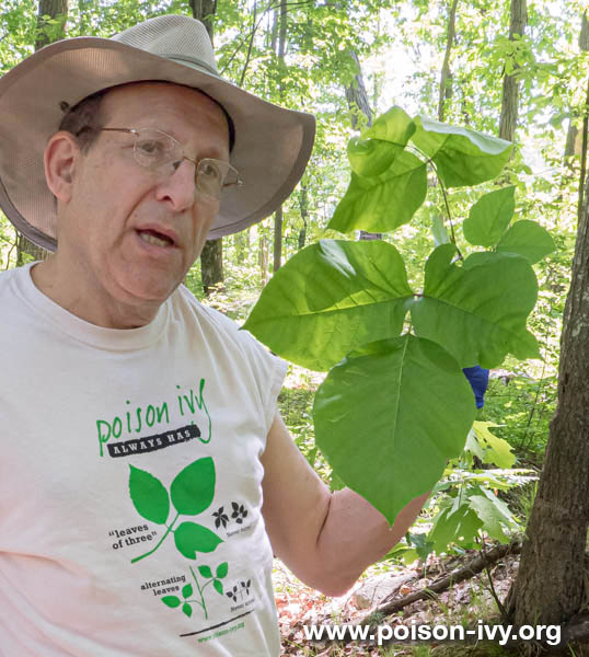 handling poison ivy 2