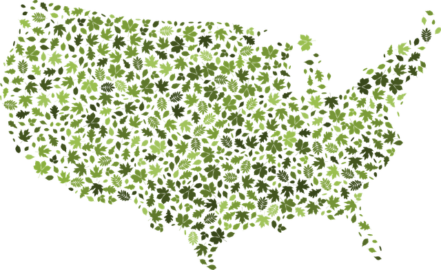 usa leaf map