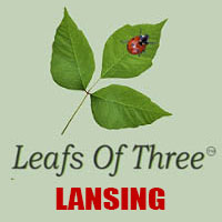 Leaves of Three Lansing
