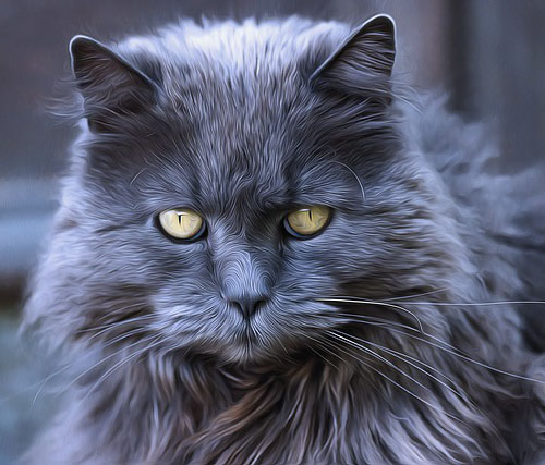 Powerpoint Download 4 guard kitty