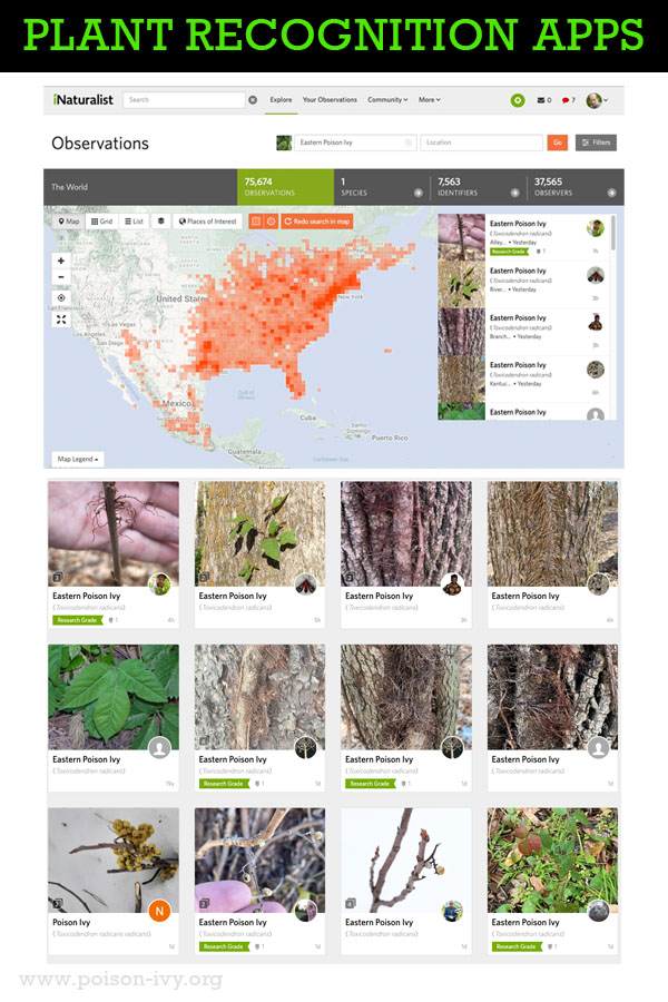 inaturalist