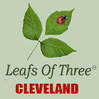 Leaves of Three Cleveland