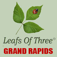 Leaves of Three Grand Rapids