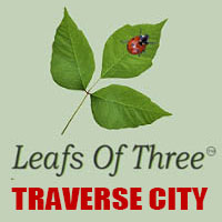 Leaves of Three Traverse City